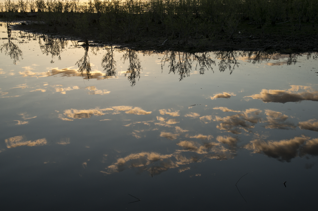 Lake Patagonia, Arizona. 2014