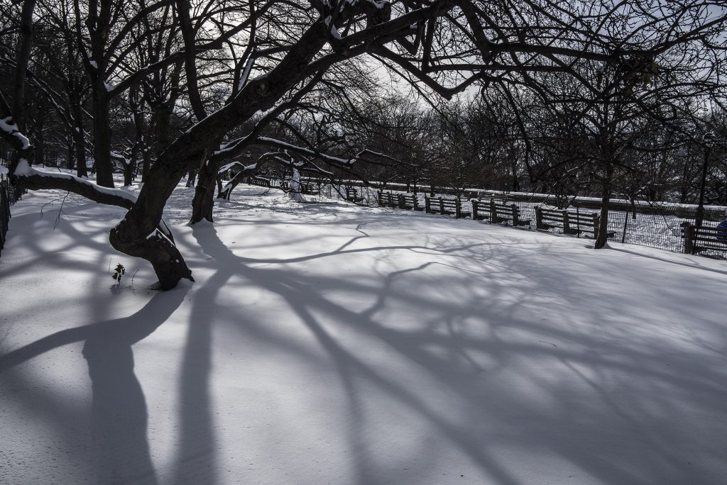 Snow Shadows